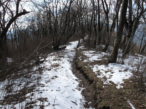 20160218hike (461)
